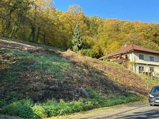 Geräumiges Baugrundstück mit 1.130m² in sonniger Hanglage von Bad Neuenahr - Ahrweiler