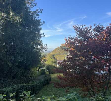 Renovierte 2-Zimmer-Wohnung mit Balkon, neuer Einbauküche und gehobener Ausstattung in Staufen.