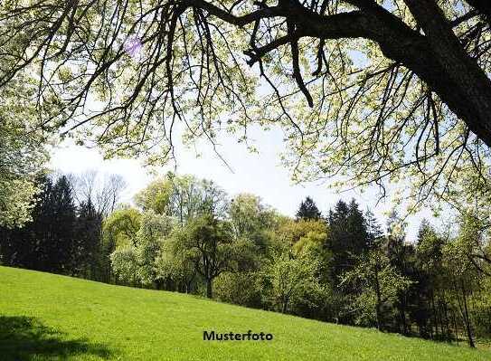 Gartenhaus sowie Land- und Forstwirtschaftsflächen