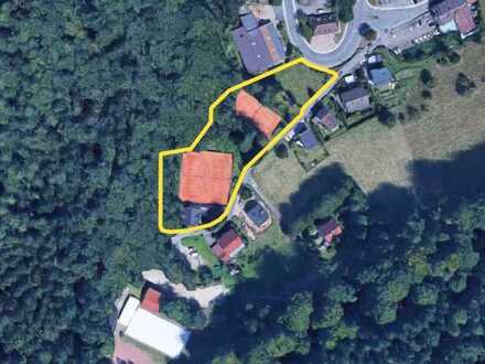 Rund 9.423 m² große Entwicklungsfläche in Wilhelmsfeld