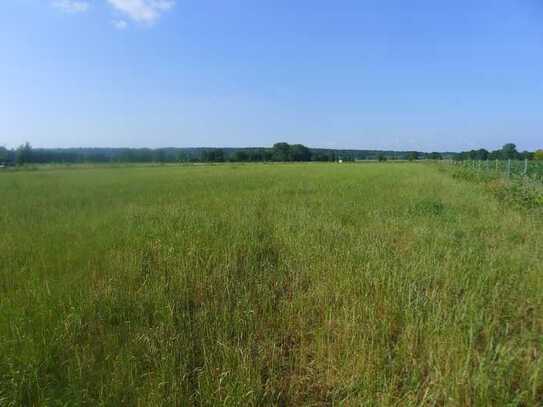 Baugrundstück an der Elbe