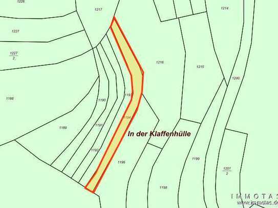 BIETERVERFAHREN - PROVISIONSFREI - Waldfläche aus Nachlass "Wald in der Klaffenhülle"