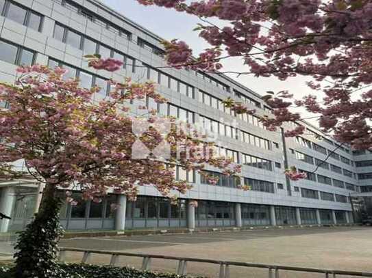 großzügige Büroflächen im modernen Bürogebäude