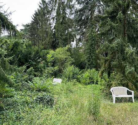 Konradshöhe – Natur, Ruhe und der perfekte Bauplatz für Ihr neues Zuhause!