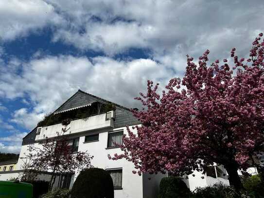 Beletage mit Blick auf das Liederbachtal