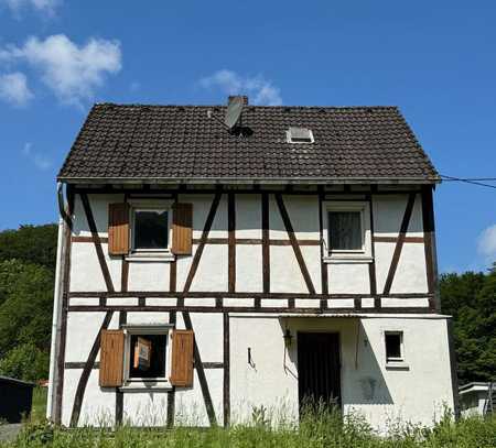 Sanierungsbedürftiges Haus mit großem Grundstück