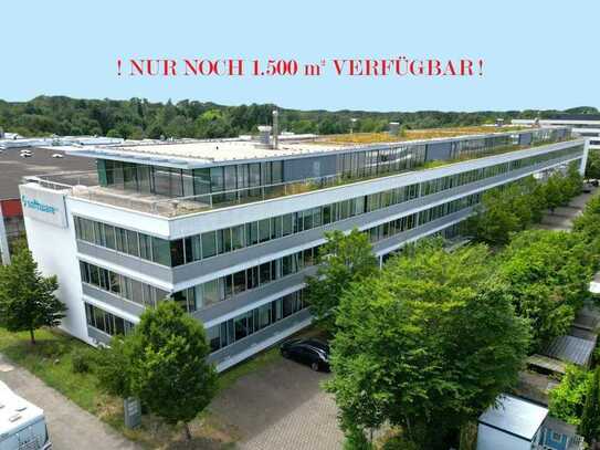 500 m² - 1.500 m² mit Top-Ausstattung in zentraler Lage