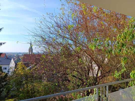 Lichtdurchflutete Erdgeschosswohnung in ruhigem Haus in bevorzugter Wohngegend HD-H-heim