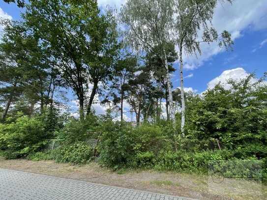 Naturbelassenes Grundstück in Seenähe von Bestensee