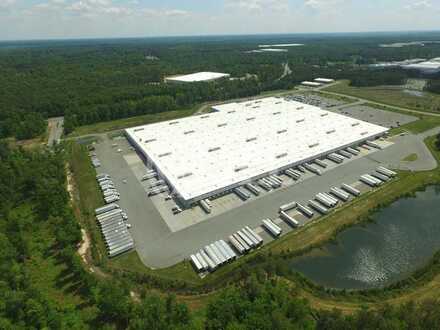 Logistikneubau | 12 m UKB | Rampen | ebenerdig | GI