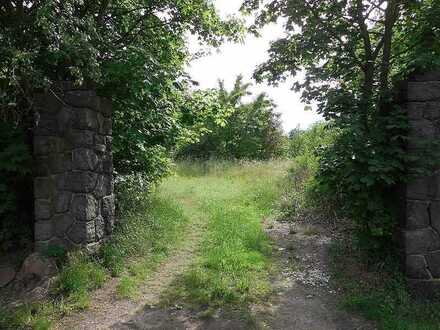 Großsteinberg, Park-Grundstück