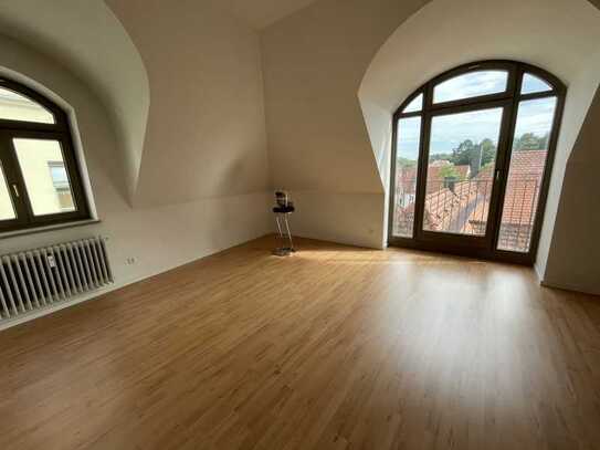 große helle 1 Zimmer DG-Wohnung, optisch abteilbar, Blick über die Dächer, Nähe Kreuztor