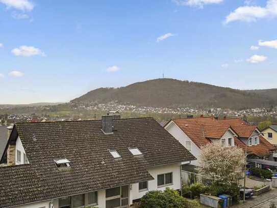 Über den Dächern von Höchst - Skyline-Blick bis nach Frankfurt am Main