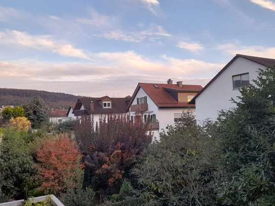 Stilvolle 2-Raum-Wohnung mit Balkon und EBK in Leimen