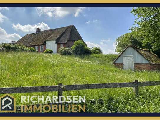 Wohnen auf der Tyenswarft in einem charmanten, reetgedeckten Friesenhaus nahe der Nordsee