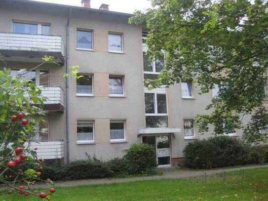 Traumwohnung sucht Mieter! Neurenovierte 3-Zimmer-Wohnung in ruhiger Lage - Jetzt besichtigen -