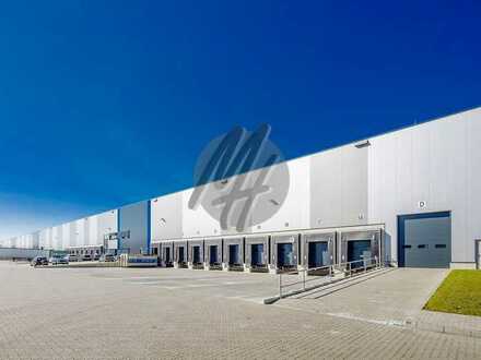 PROVISIONSFREI ✓ LOGISTIK-NEUBAU ✓ östliche Rhein-Main-Region ✓ 30.000 m² / teilbar ✓