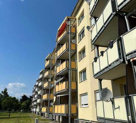 +++ NEU Komplett Sanierte Moderne 2-Zimmerwohnung mit Balkon +++