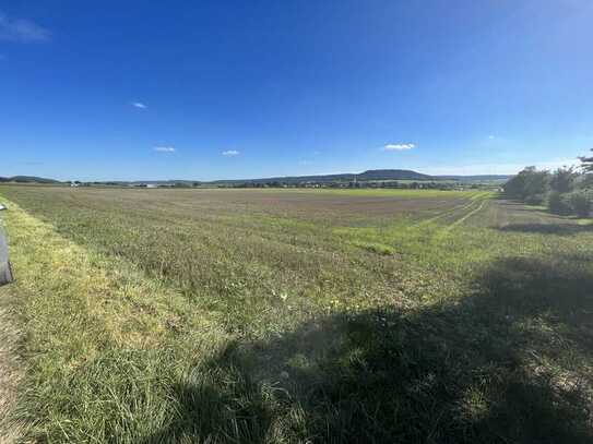 Landwirtschaftliche Grundstücke zu verkaufen!