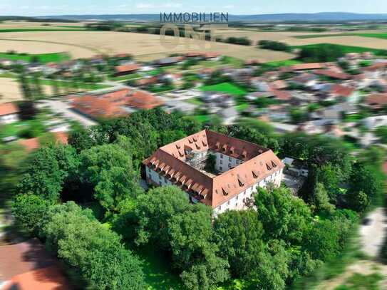 Historisches Schloss-Ambiente: Einzigartige Möglichkeit für ein Nebengewerbe