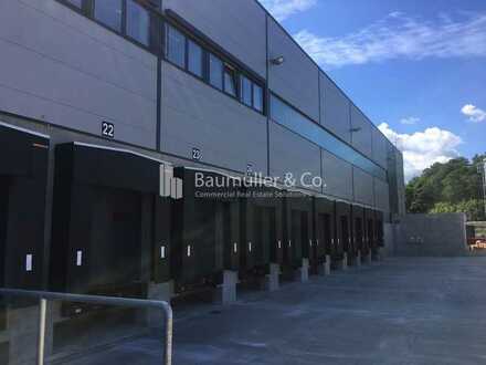 "BAUMÜLLER & CO." - ca. 15.000 m² - Hallenfläche mit Rampenandienung