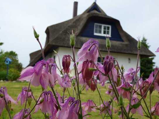 ERDWÄRMEHAUS! GRUNDSTÜCK MIT VIELEN FARBEN! SAUNA! KAMIN! CARPORT! FELDRANDLAGE!