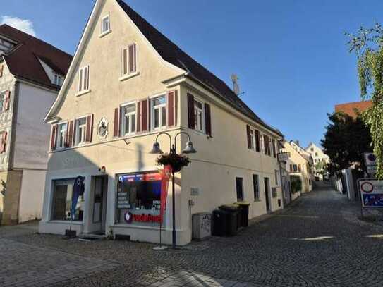 Attraktive Wohnung mit überdachter Terrasse, Garten, Carport und Einbauküche in Vaihingen/ Enz