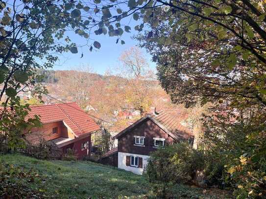 Hanggrundstück mit Altbestand