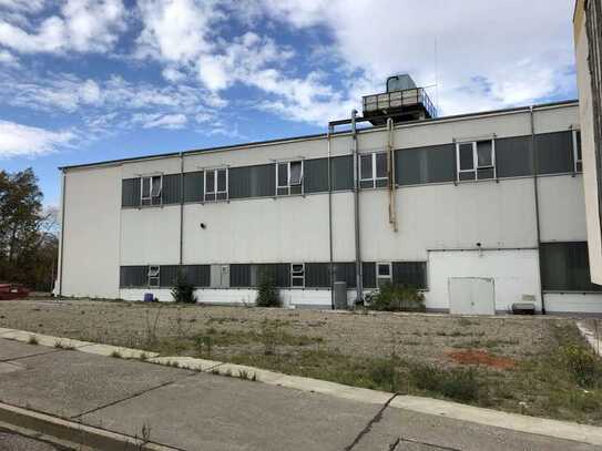 Industriehalle im Industriepark Tridelta Hermsdorf am "Hermsdorfer Kreuz"