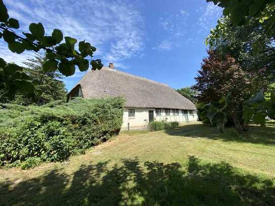 Rarität: außergewöhnliches Niederdeutsches Hallenhaus in idyllischer Lage