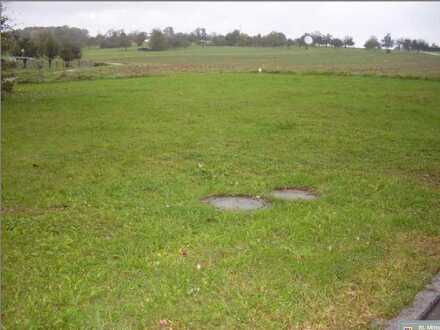 Wiesengrundstück - als Landwirtschaftsfläche