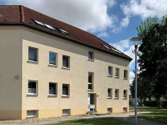 Renovierte 3 Raumwohnung mit Balkon in Biere