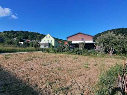 Sonniges Grundstück mit wunderbarem Ausblick und Altbestand in Leutenbach