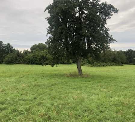 Bauplatz im Grünen