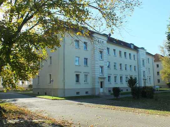 Freundliche 4-Zimmer-Wohnung in Calbe (Saale)