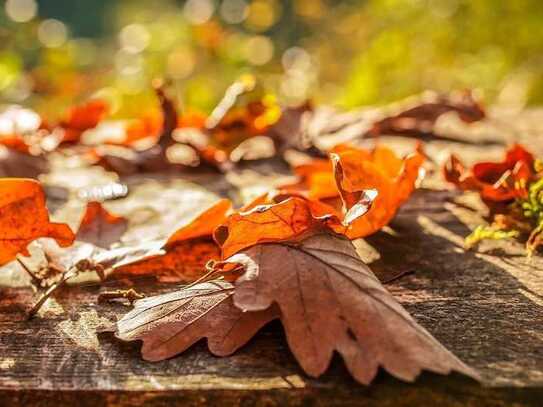 Ein Ort für goldene Herbstmomente - Finden Sie Ihr Glück im eigenen Zuhause