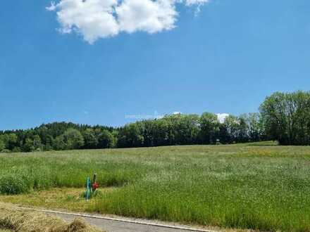 Sonniges, ländliches, idyllisches Baugrundstück in leichter Höhenlage in Bad Wurzach