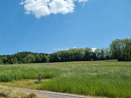 Sonniges, ländliches, idyllisches Baugrundstück in leichter Höhenlage in Bad Wurzach