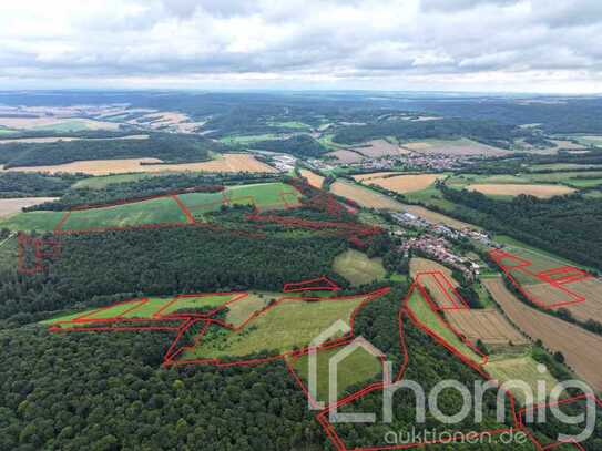 Acker, Wald und Wiese (ca. 80 ha) bei Großtöpfer - 50% Miteigentumsanteil