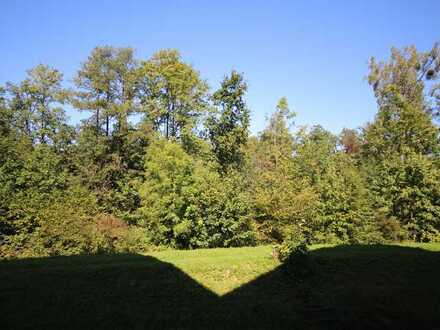 Sonniges Zuhause in ruhiger zentraler Lage (mit Fahrstuhl)
