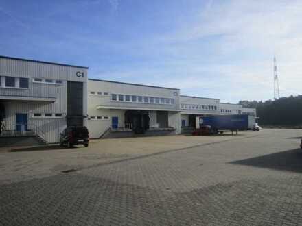 981 m² Rampenhalle + 130 m² Bürofläche in Dietzenbach zu vermieten