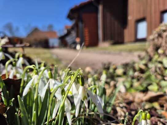 WG Zimmer in Clausthal-Zellerfeld