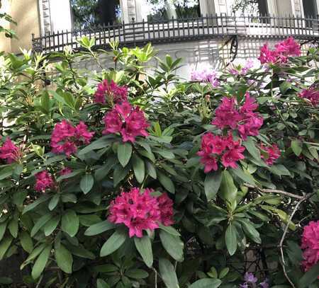 Wunderschöne Altbauwohnung mit Garten in Schlossnähe