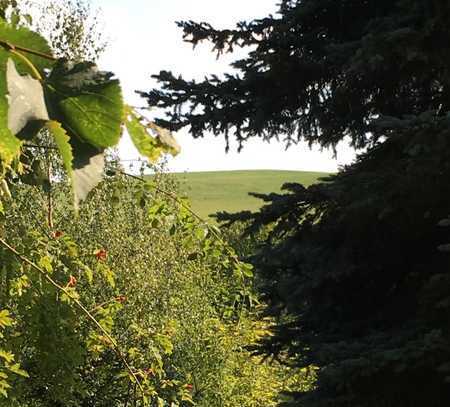 ERFÜLLEN SIE SICH IHRE GRÖSSTEN LEBENSTRÄUME: EINE EIGENE FAMILIE, EIN HAUS MIT GARTEN UND EINEN HUN