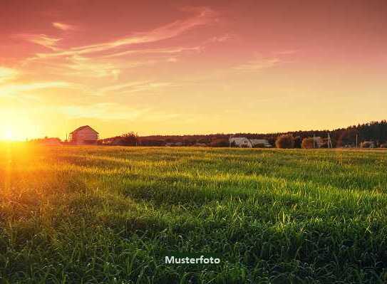 Unbebautes Grundstück, Landwirtschaftsflächen