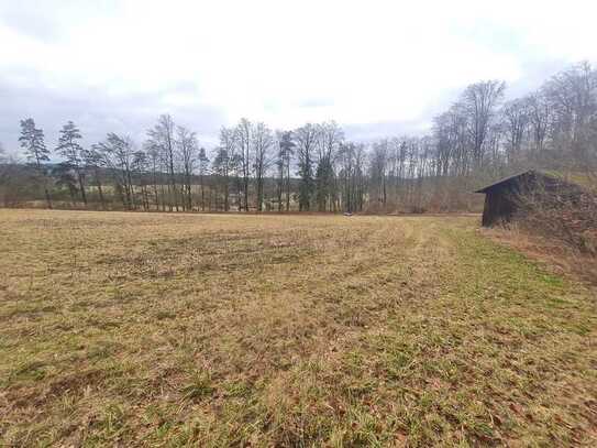 Grundstück für Freizeit- Land- Forstwirtschaft bei Kappelberg