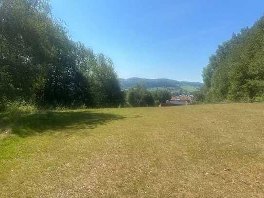 Baugrundstück mit Wiesenflächen in Freyung