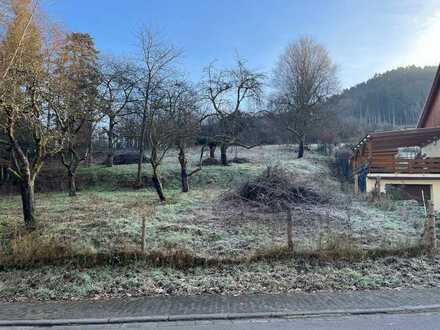 Rinnthal Gelegenheit! Großzügiger Bauplatz - Tierhaltung möglich