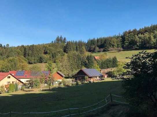 Vollmöblierte Pendler- und Studentenwohnung im Grünen