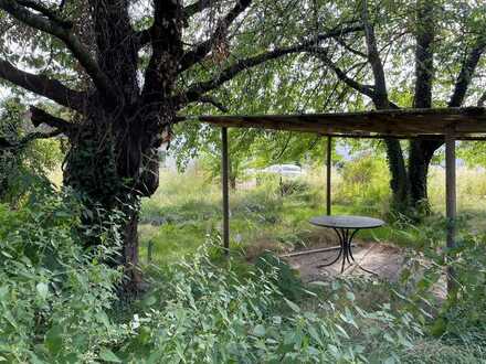 SCHWIND IMMOBILIEN - eingewachsenes Grundstück zur Gartenbenutzung und Entspannung
